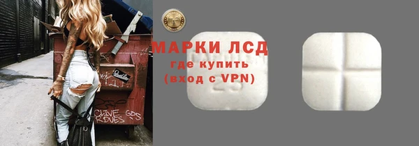 ECSTASY Горняк