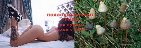 mdpv Гусев